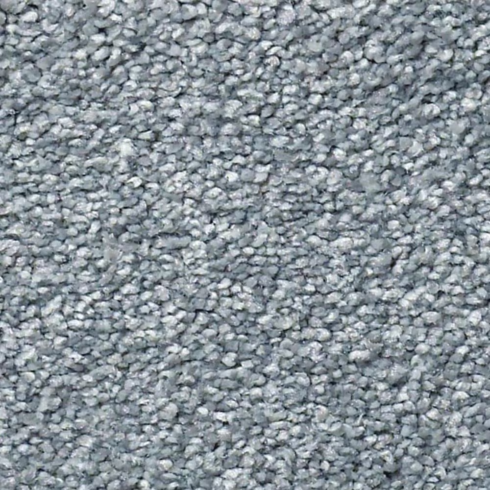 Shaw Find Your Comfort NS Blue Carpet in Dolphin Sighting