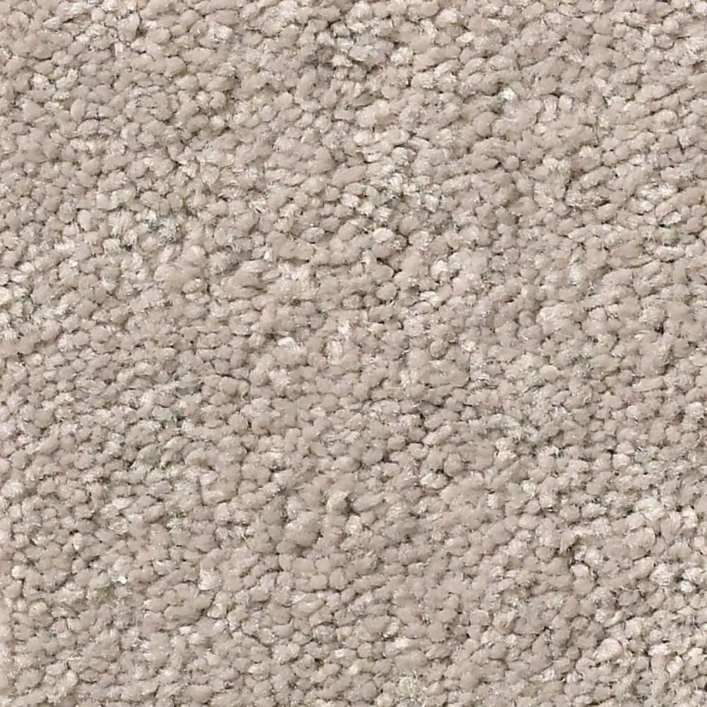 Shaw Simply the Best Momentum I Carpet in Boutique