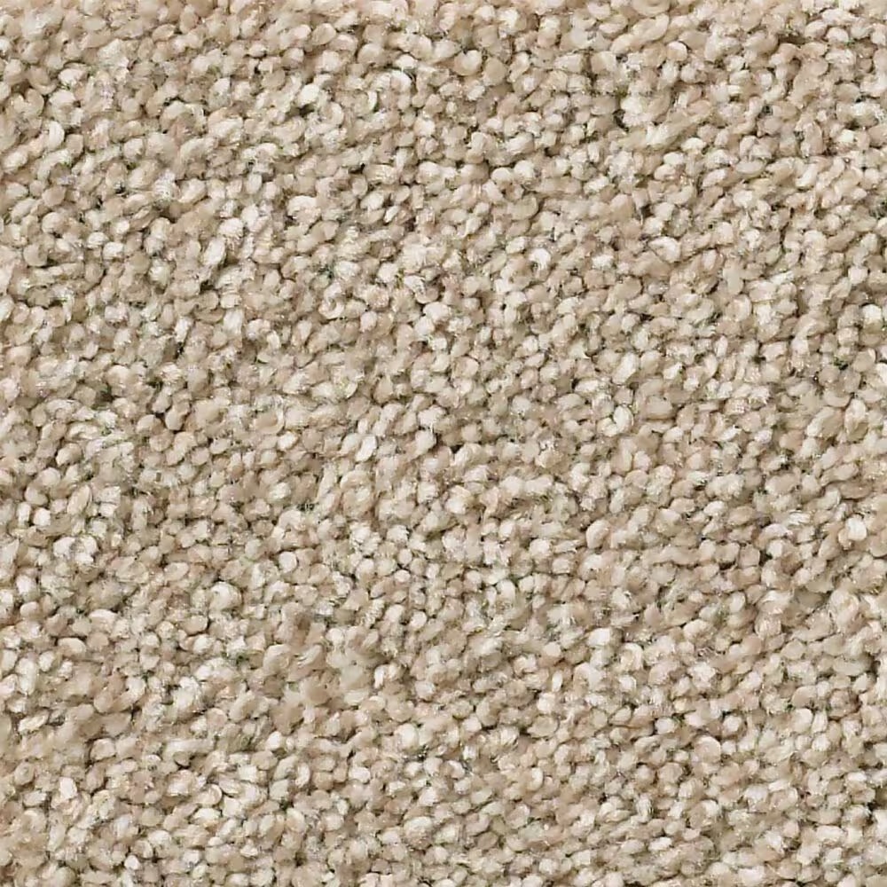 Shaw Simply the Best Momentum I Carpet in High Beam