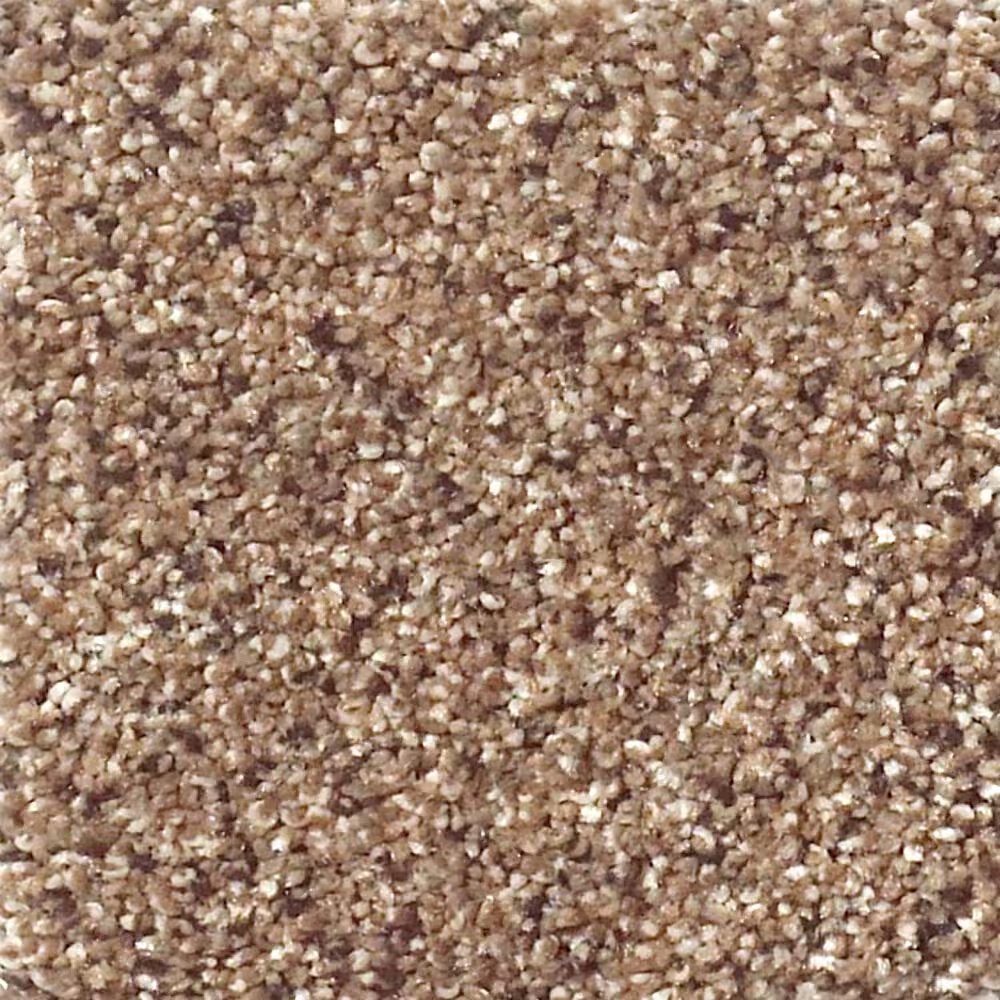 Shaw Foundations Take The Floor Accent I Carpet in Baltic Brown