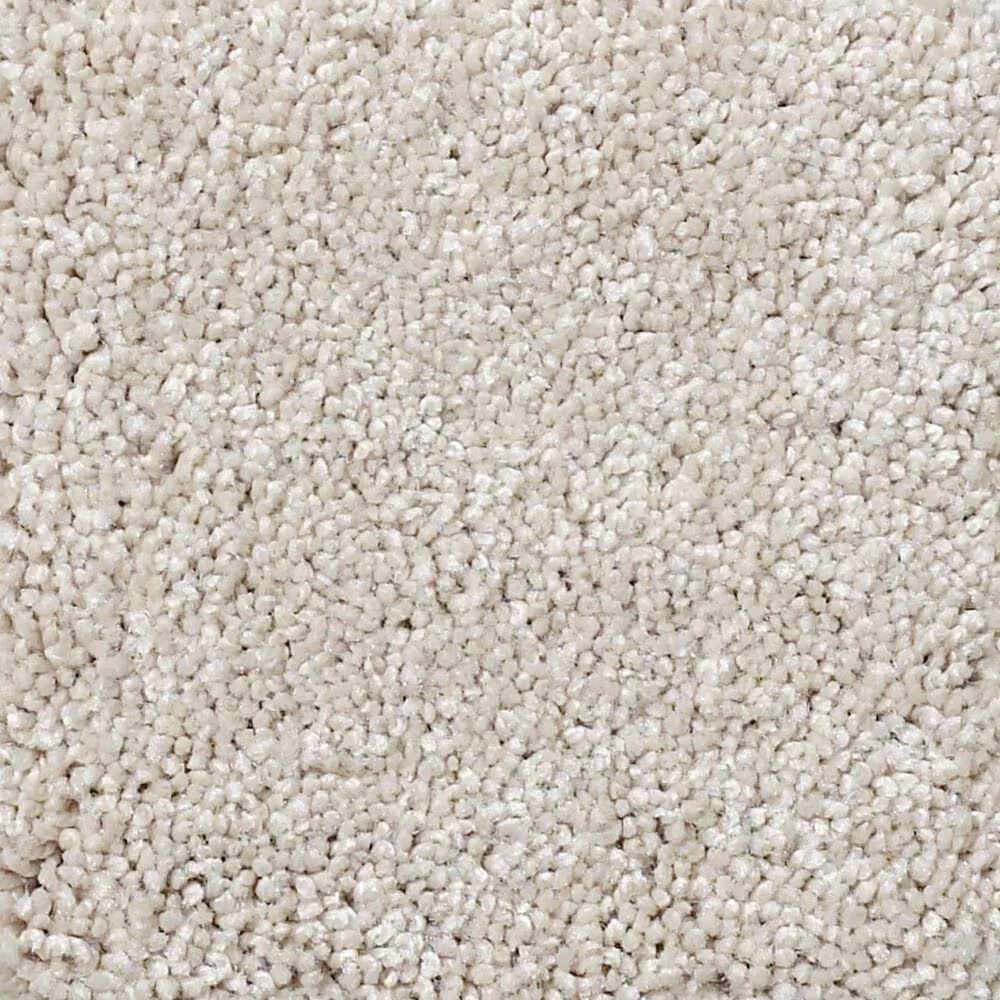 Shaw Foundations Take The Floor Texture II Carpet in Neutral Ground