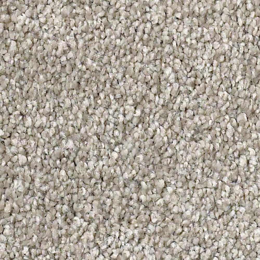 Shaw Find Your Comfort NS Blue Carpet in Back Patio