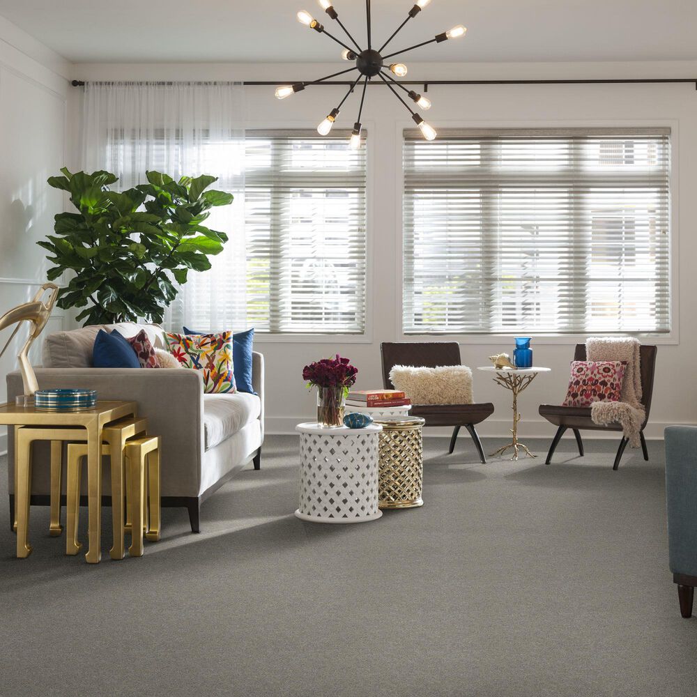 37762-shaw-find-your-comfort-ns-blue-carpet-in-back-patio-1.jpg