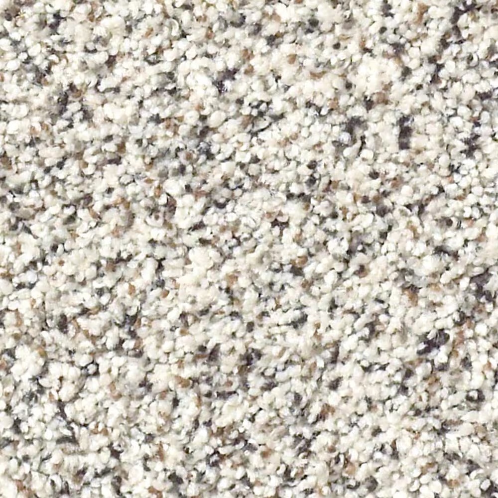 Shaw Foundations Take The Floor Accent I Carpet in Avalanche