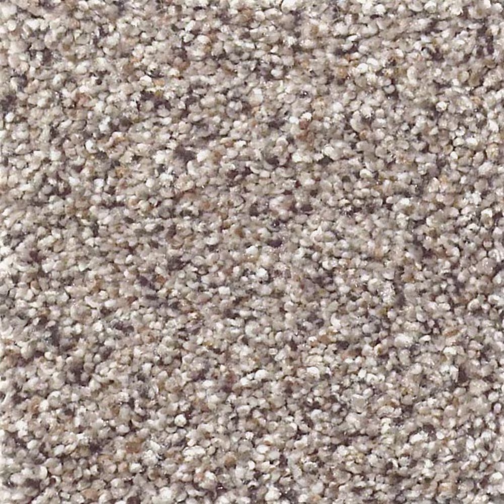 Shaw Foundations Take The Floor Accent I Carpet in Cold Springs