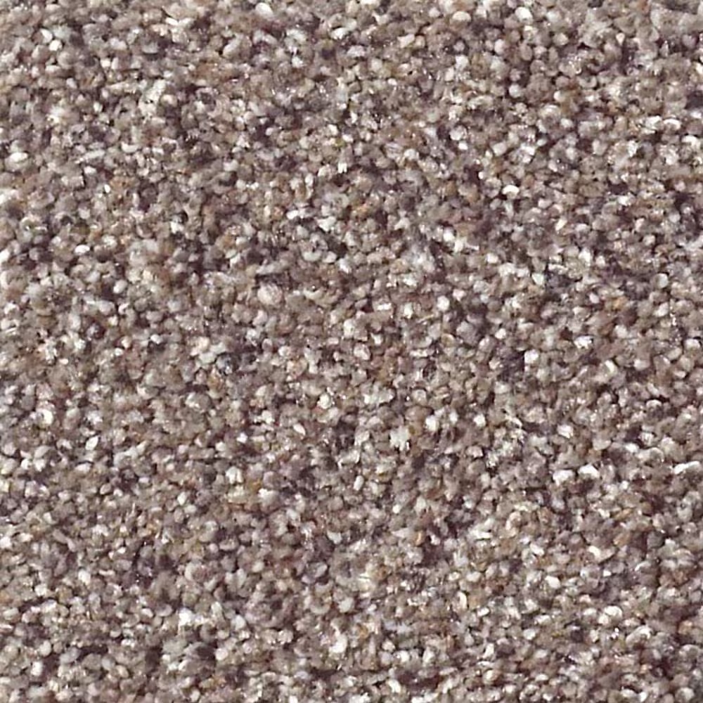 Shaw Foundations Take The Floor Accent I Carpet in Storm