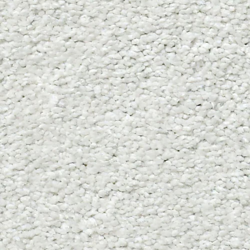 Shaw Find Your Comfort NS Blue Carpet in Whitewashed Frame