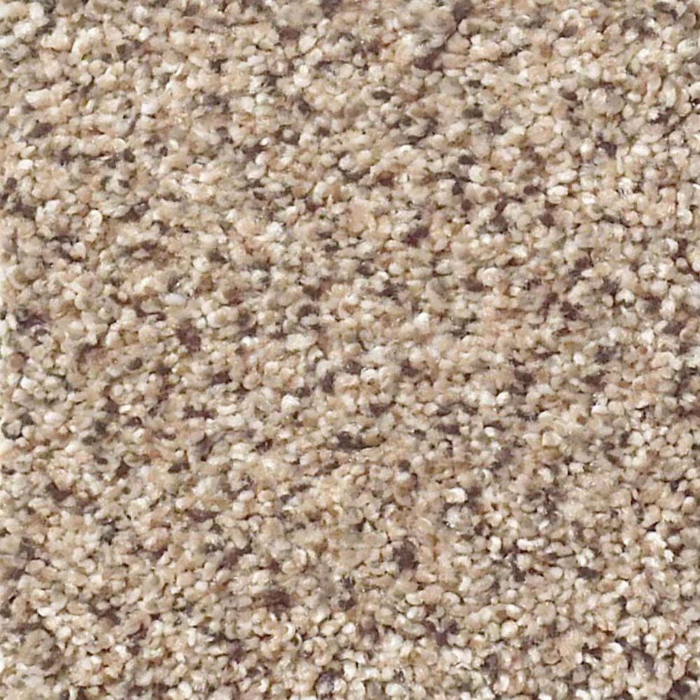 Shaw Foundations Take The Floor Accent I Carpet in Desert Sunrise