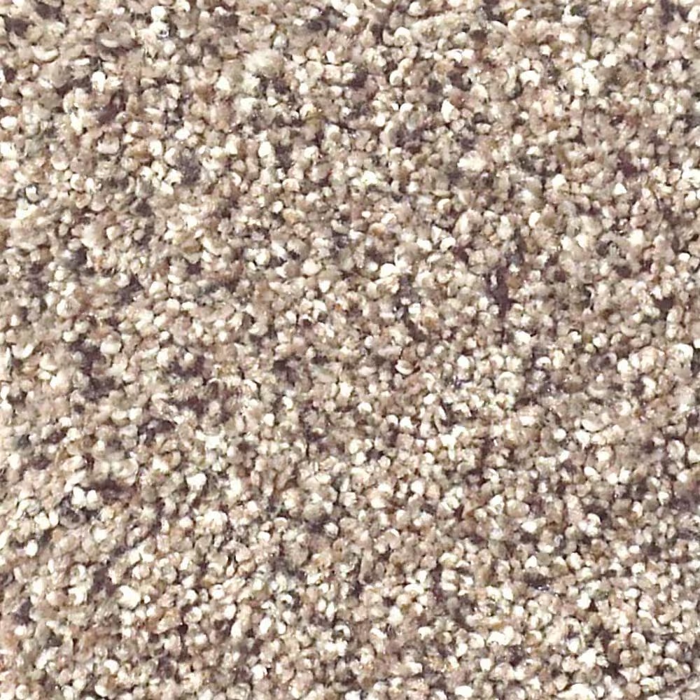 Shaw Foundations Take The Floor Accent I Carpet in Everest