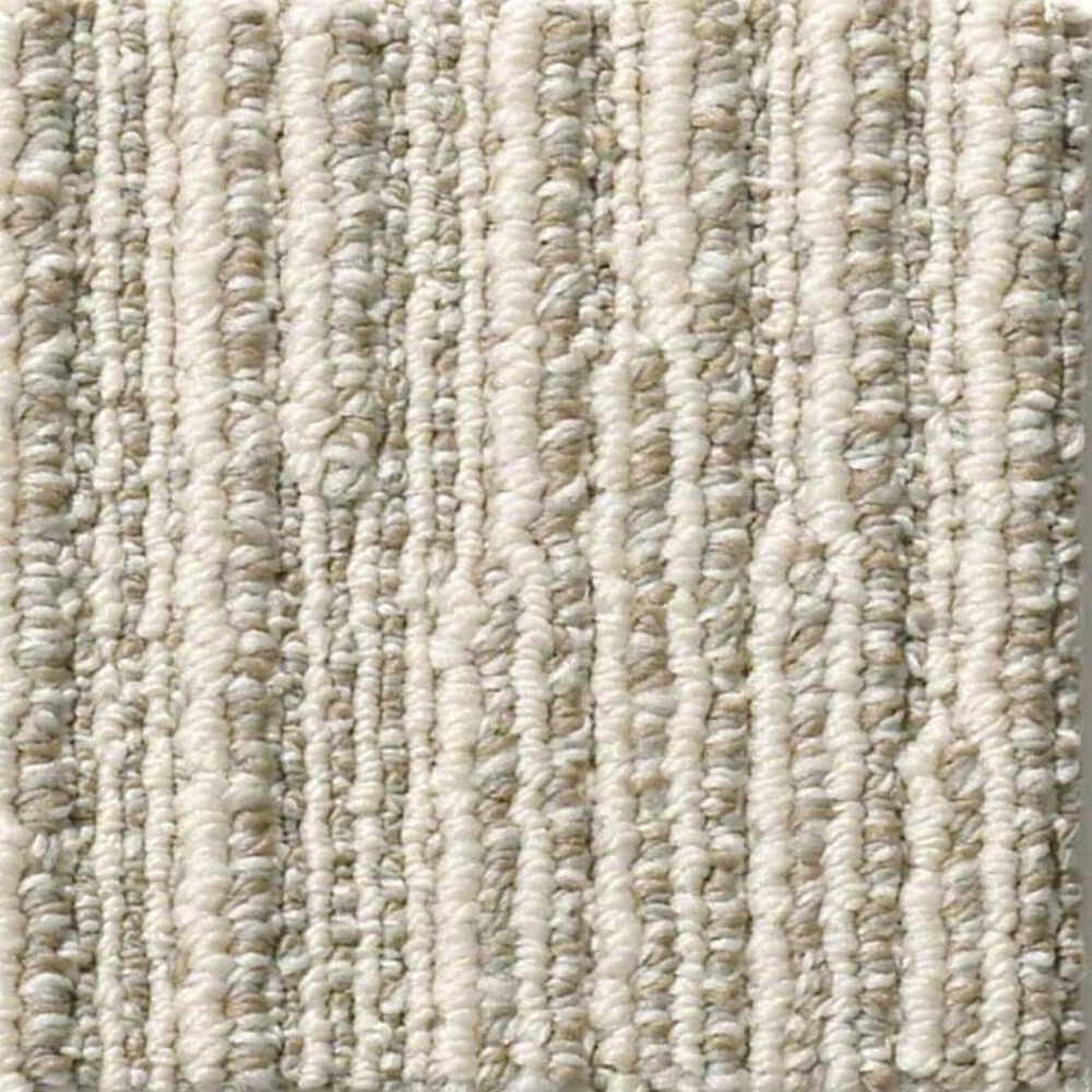 Anderson Tuftex Chase Carpet in Briarwood