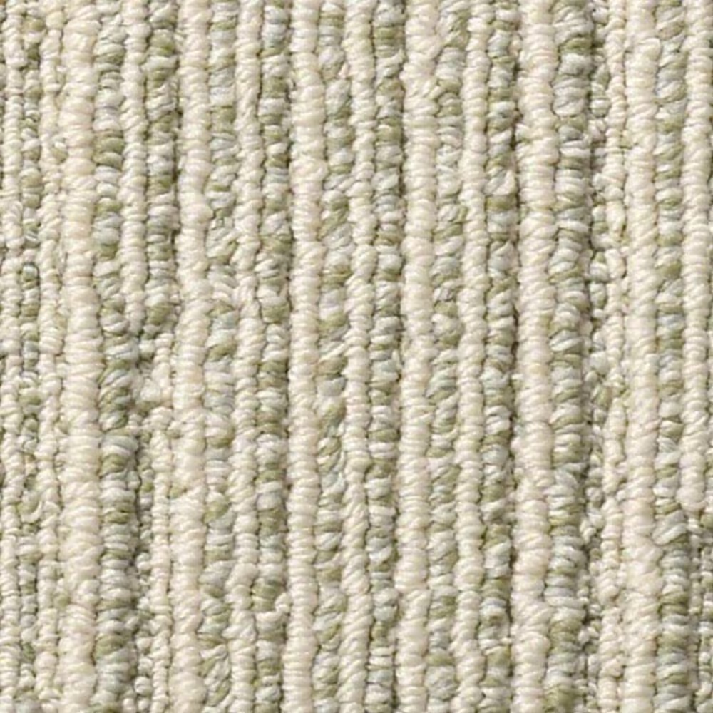 Anderson Tuftex Chase Carpet in Soft Fern