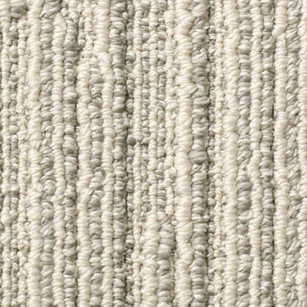 Anderson Tuftex Chase Carpet in Oyster Shell