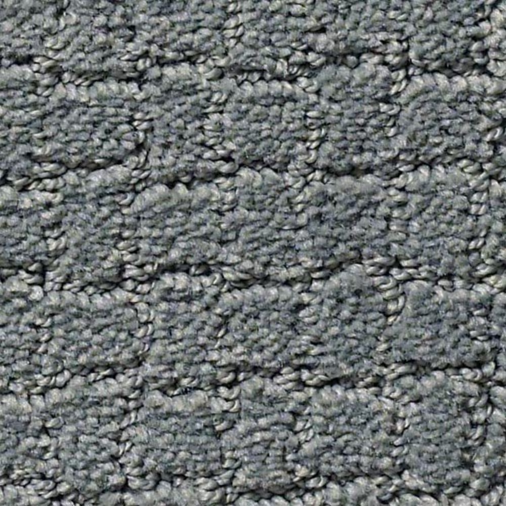 Anderson Tuftex Pawstruck Carpet in Steel Wool