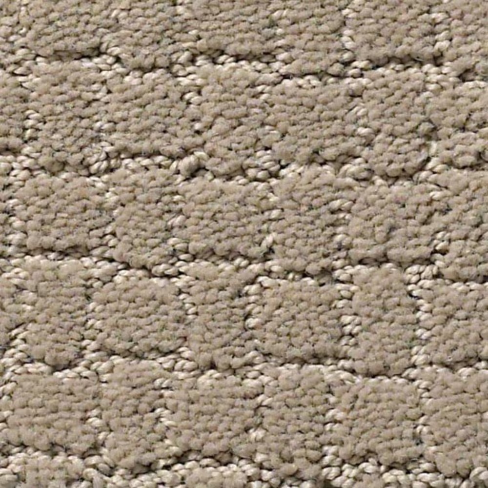Anderson Tuftex Pawstruck Carpet in Mocha Cream
