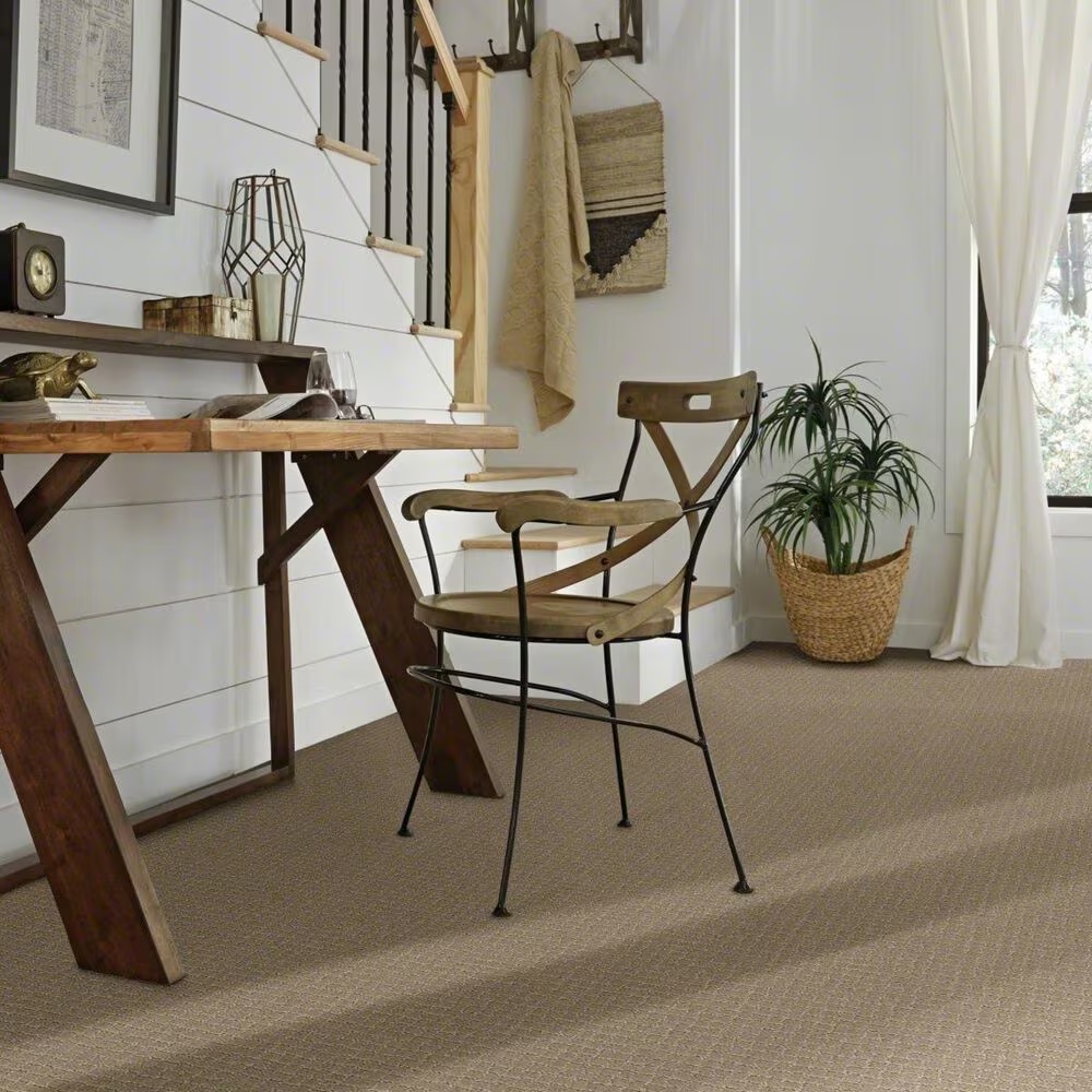 37962-anderson-tuftex-pawstruck-carpet-in-mocha-cream-1.jpg
