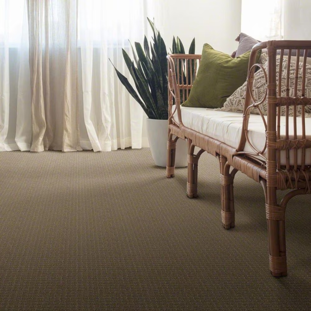 37962-anderson-tuftex-pawstruck-carpet-in-mocha-cream-1.jpg