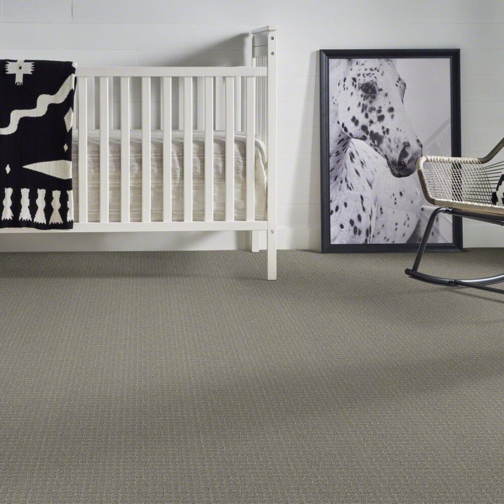 Anderson Tuftex Pawstruck Carpet in Portland