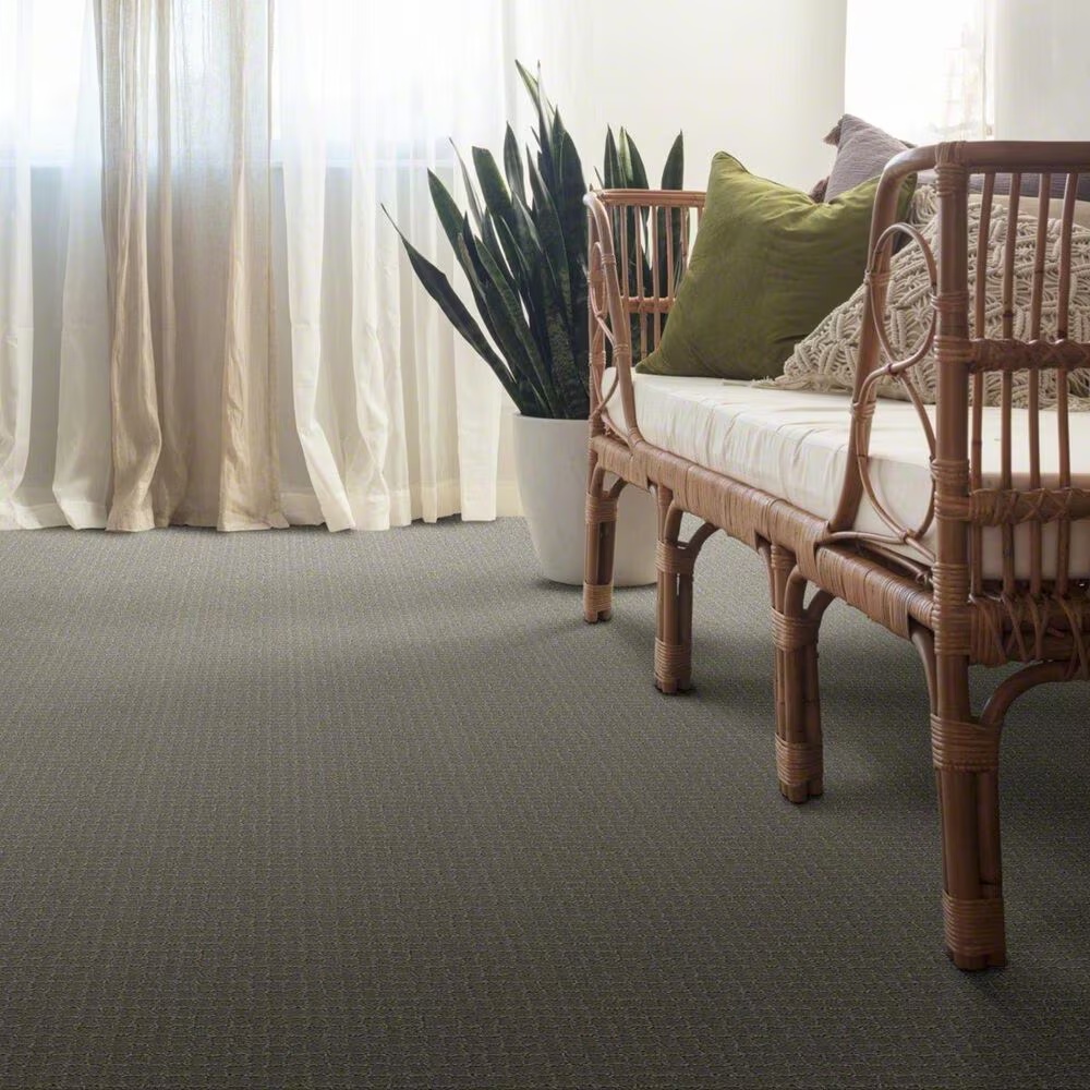 37987-anderson-tuftex-pawstruck-carpet-in-portland-1.jpg