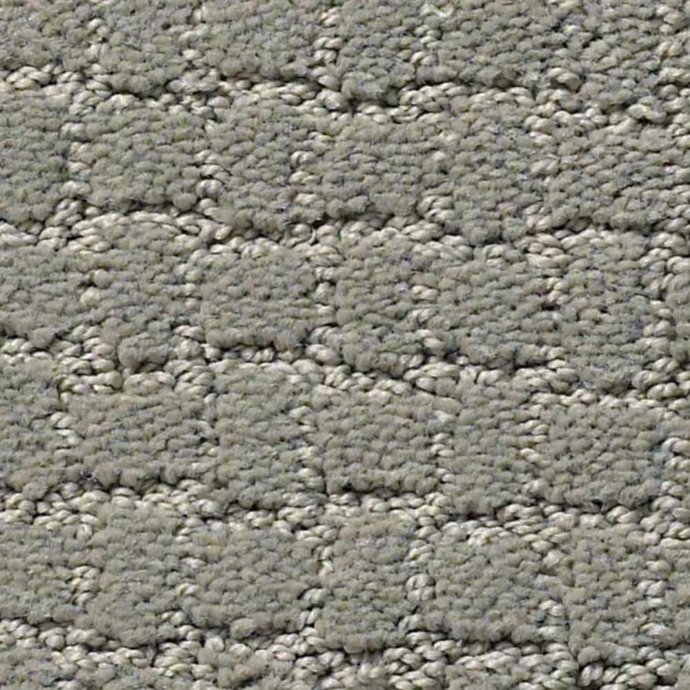 37987-anderson-tuftex-pawstruck-carpet-in-portland-1.jpg