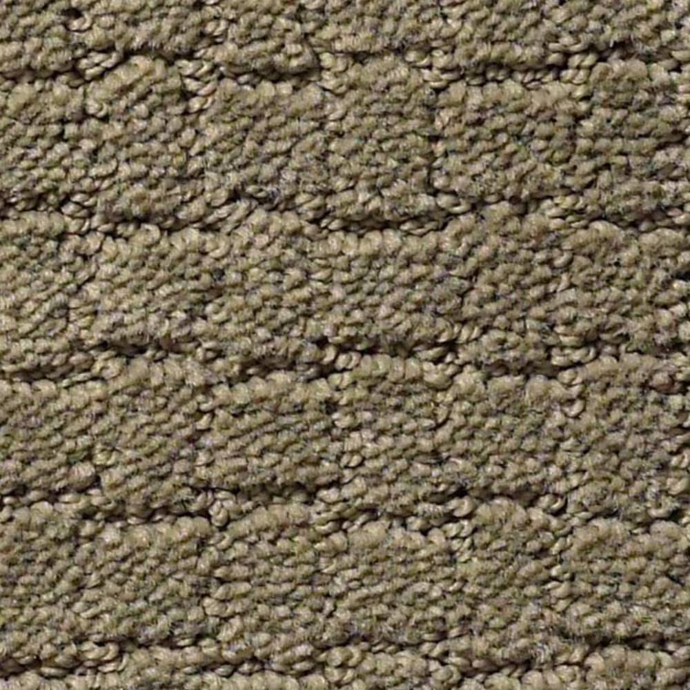 Anderson Tuftex Pawstruck Carpet in Dry Sage