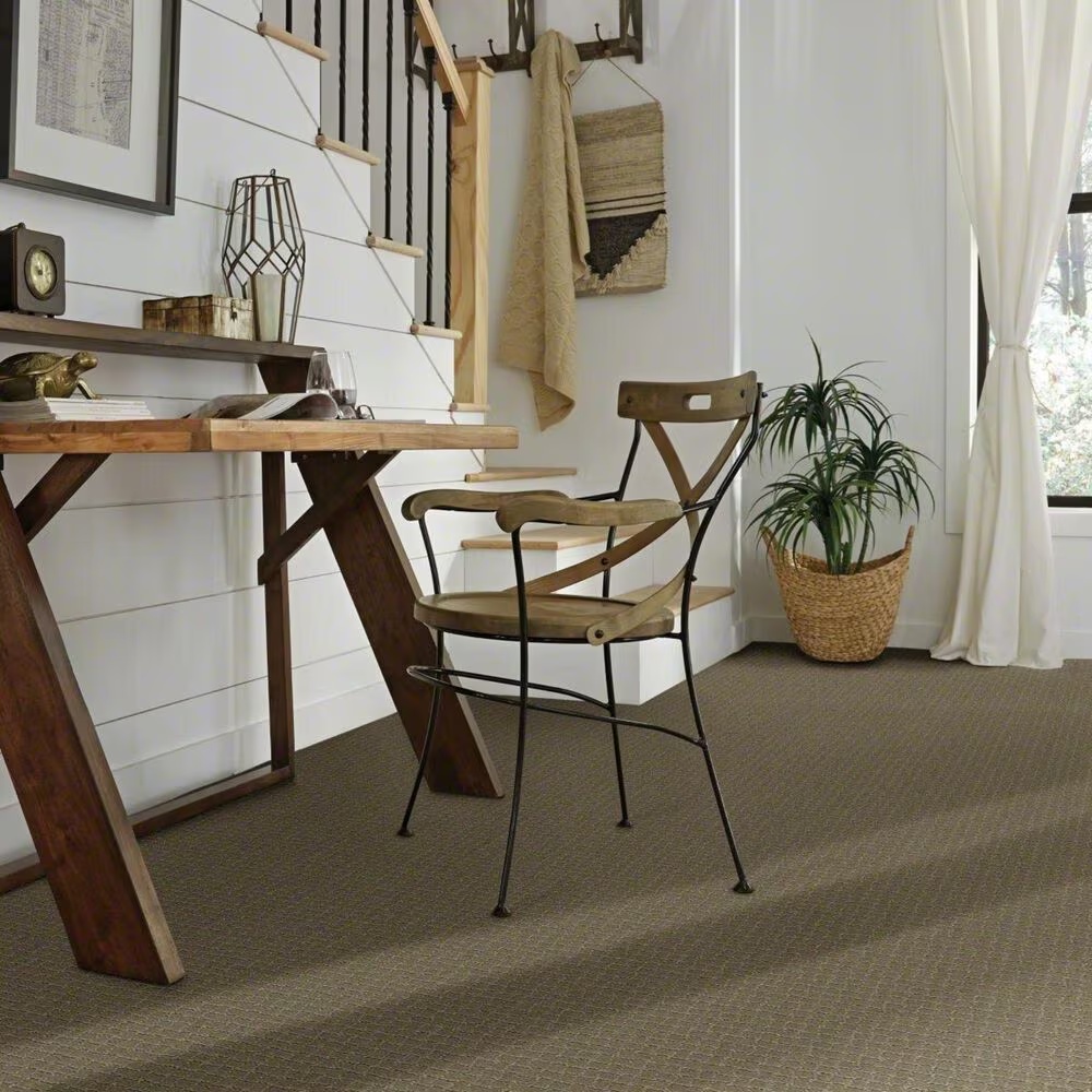 38012-anderson-tuftex-pawstruck-carpet-in-dry-sage-1.jpg