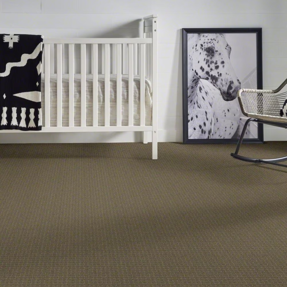 38012-anderson-tuftex-pawstruck-carpet-in-dry-sage-1.jpg