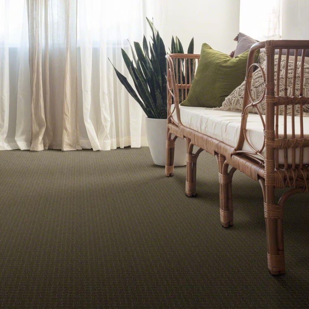 38012-anderson-tuftex-pawstruck-carpet-in-dry-sage-1.jpg