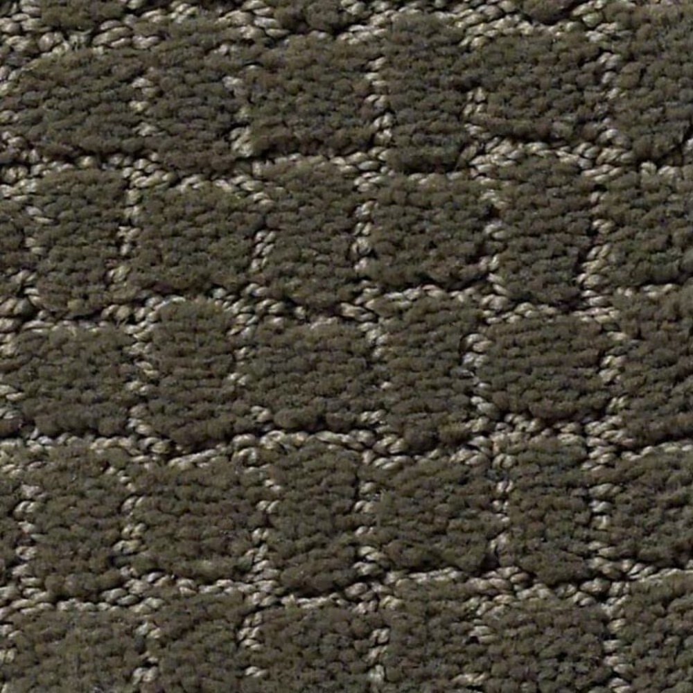 Anderson Tuftex Pawstruck Carpet in Smoked Oyster