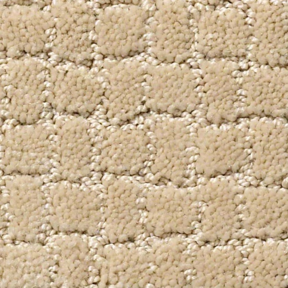 Anderson Tuftex Pawstruck Carpet in Hazelnut