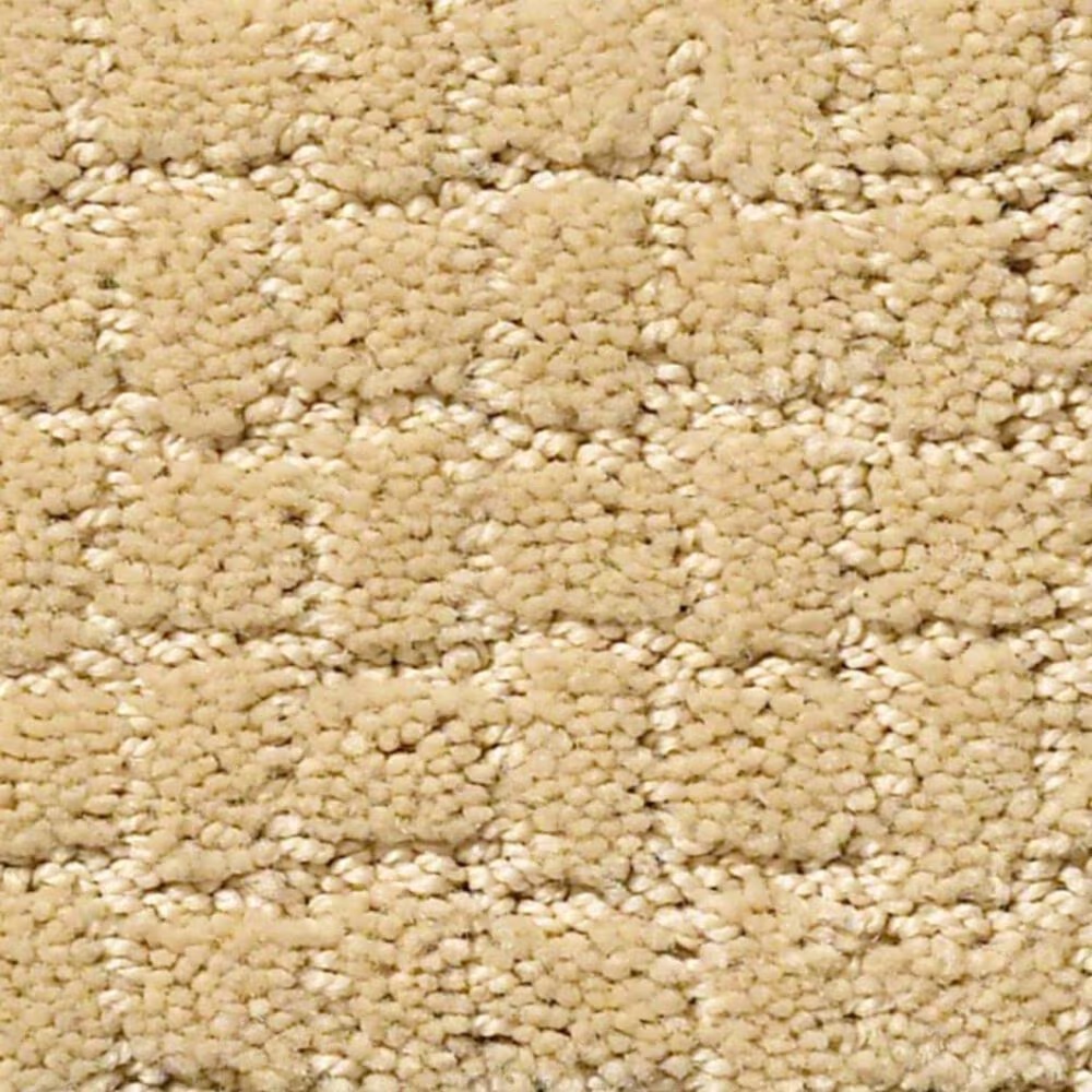 Anderson Tuftex Pawstruck Carpet in Cork
