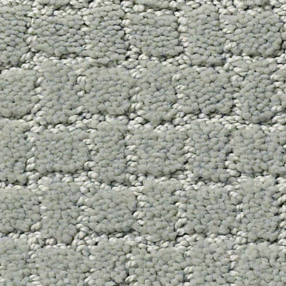 Anderson Tuftex Pawstruck Carpet in Misty Lake