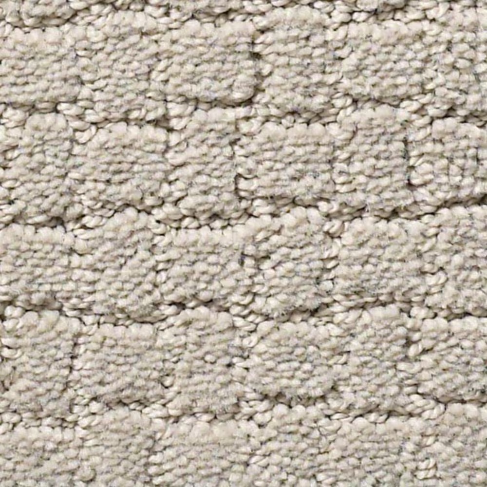 Anderson Tuftex Pawstruck Carpet in Silver Fox