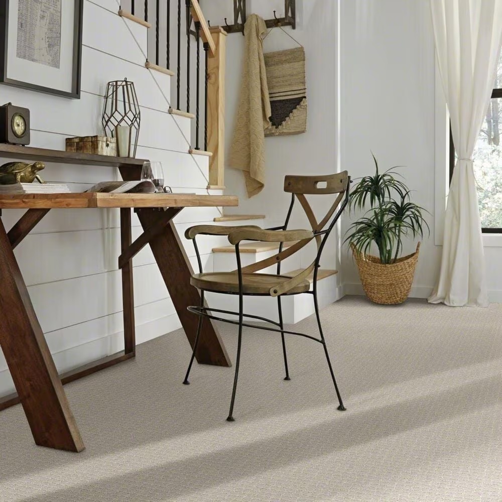 38187-anderson-tuftex-pawstruck-carpet-in-silver-fox-1.jpg