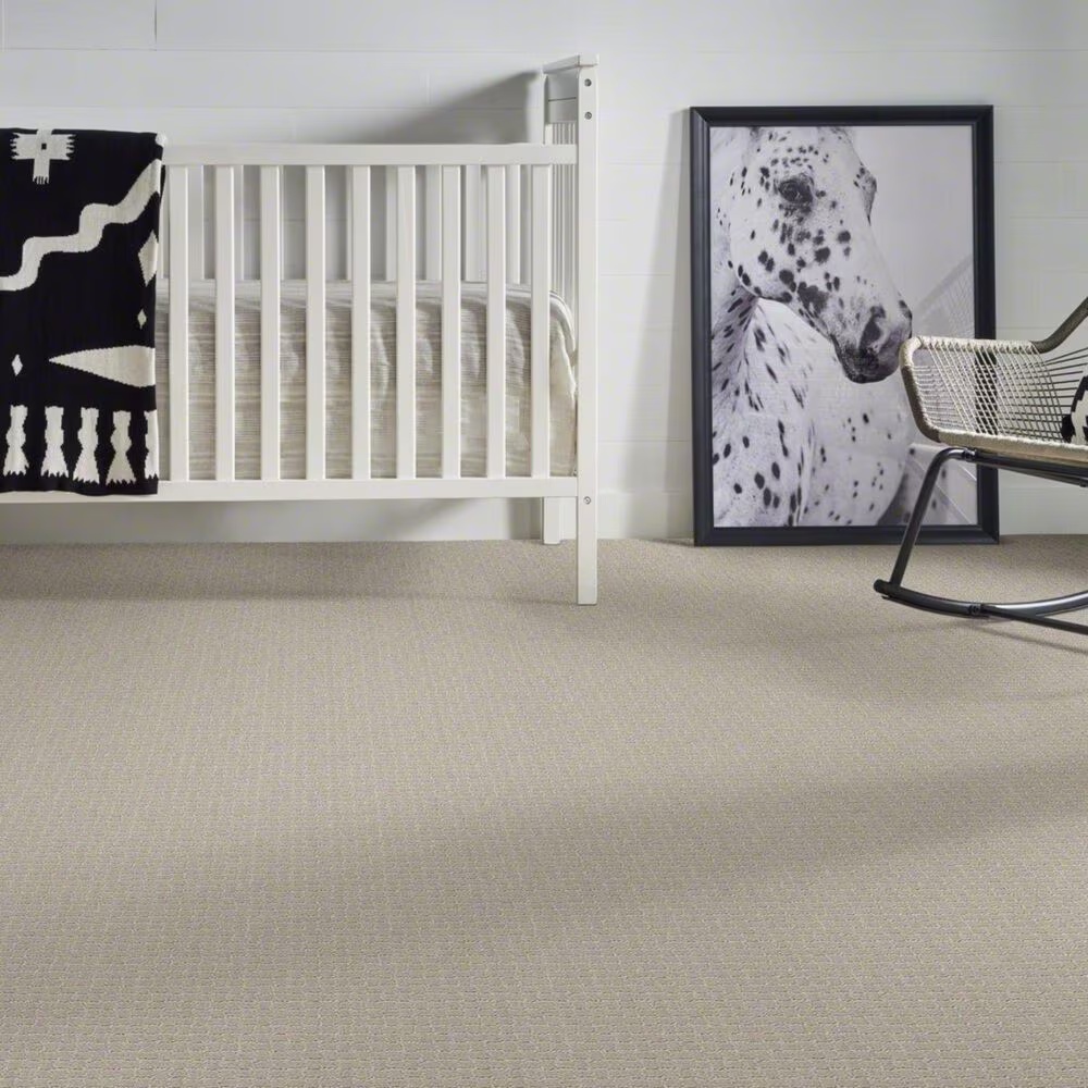 38187-anderson-tuftex-pawstruck-carpet-in-silver-fox-1.jpg