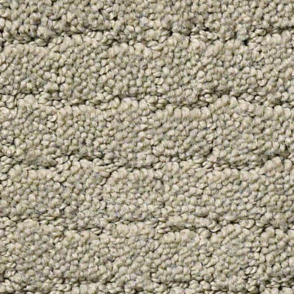 Anderson Tuftex Pawstruck Carpet in Gray Mirage