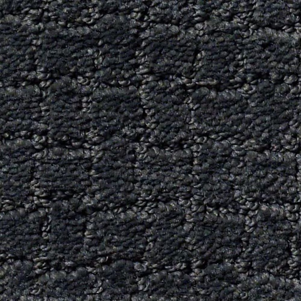 Anderson Tuftex Pawstruck Carpet in Night Shade