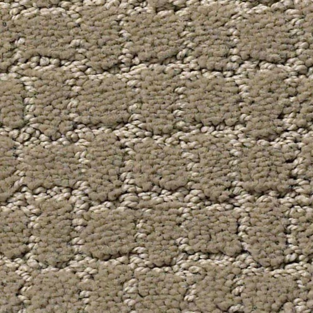 Anderson Tuftex Pawstruck Carpet in Driftwood