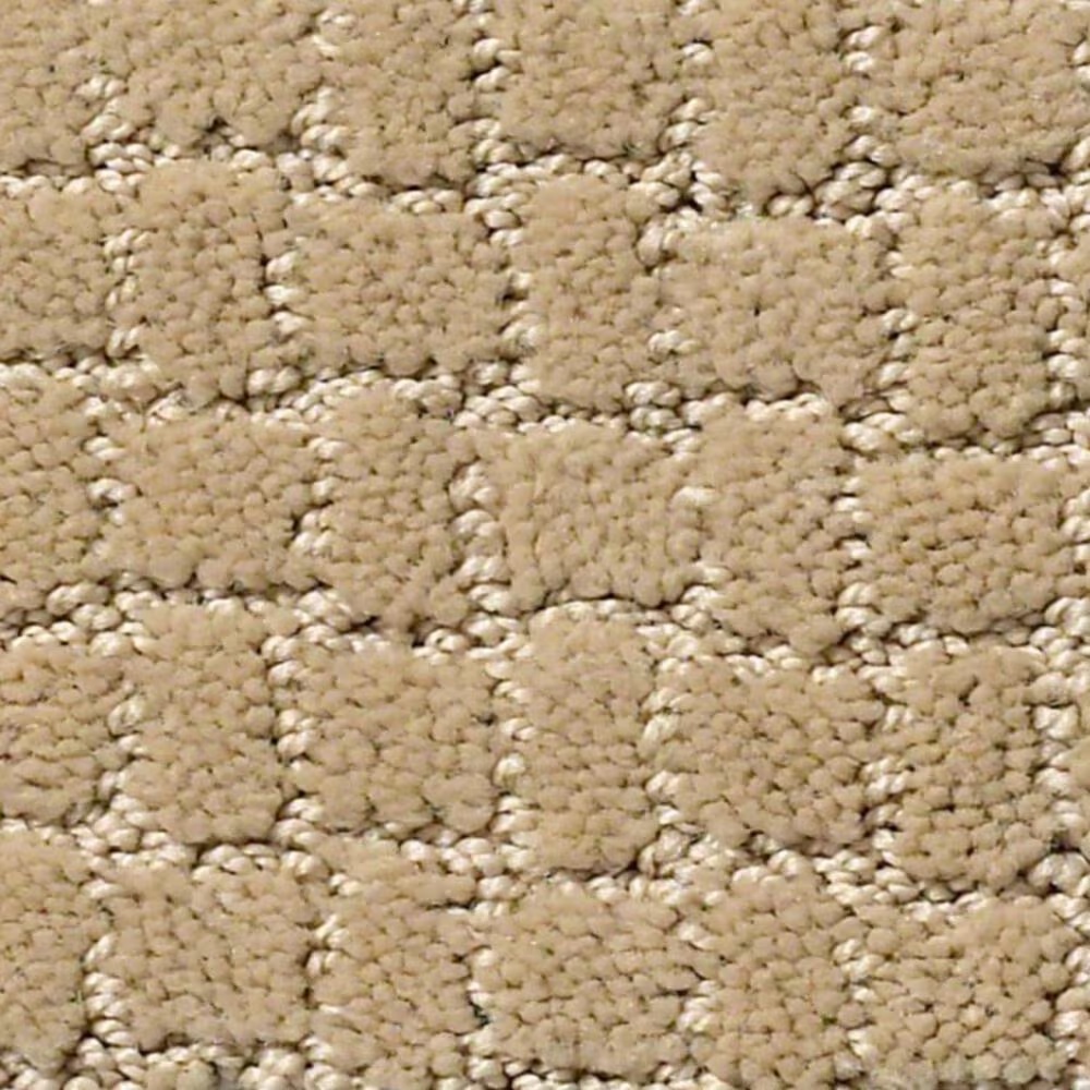 Anderson Tuftex Pawstruck Carpet in Monterey