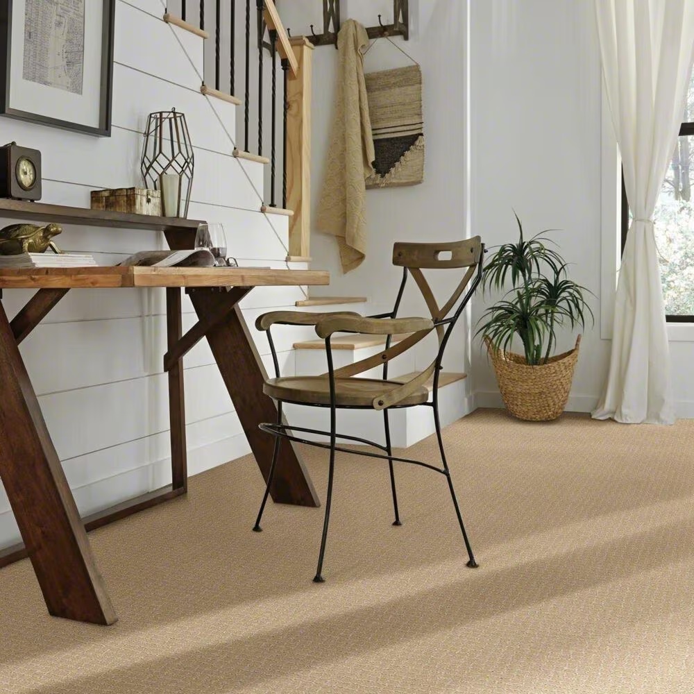 38287-anderson-tuftex-pawstruck-carpet-in-monterey-1.jpg