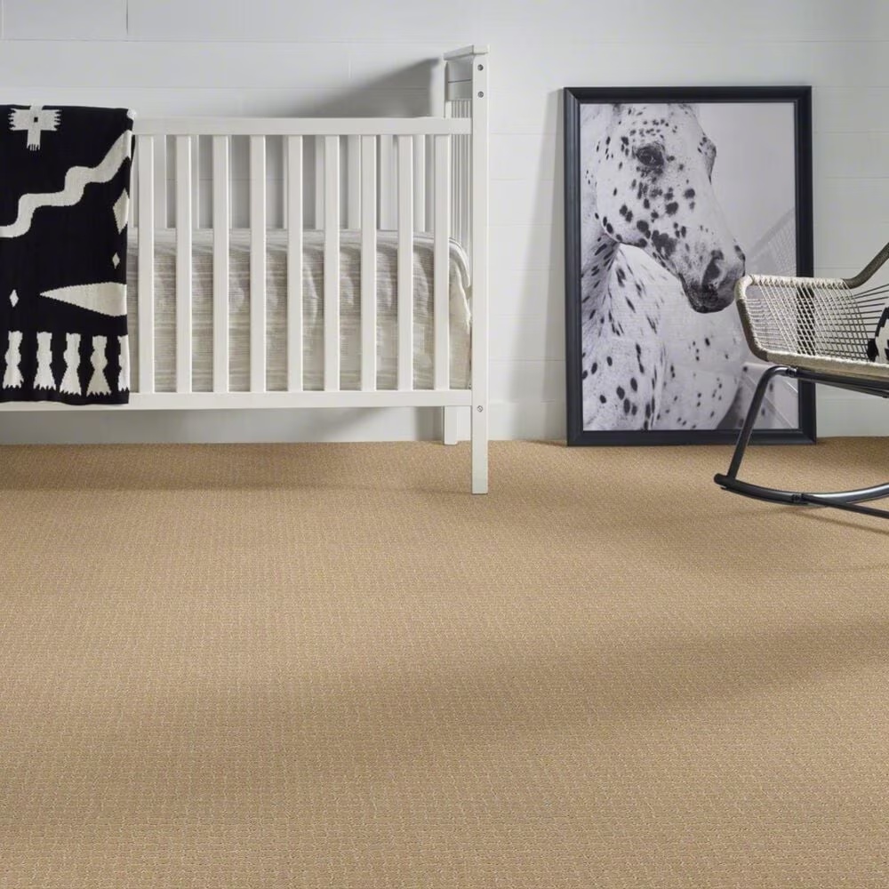 38287-anderson-tuftex-pawstruck-carpet-in-monterey-1.jpg