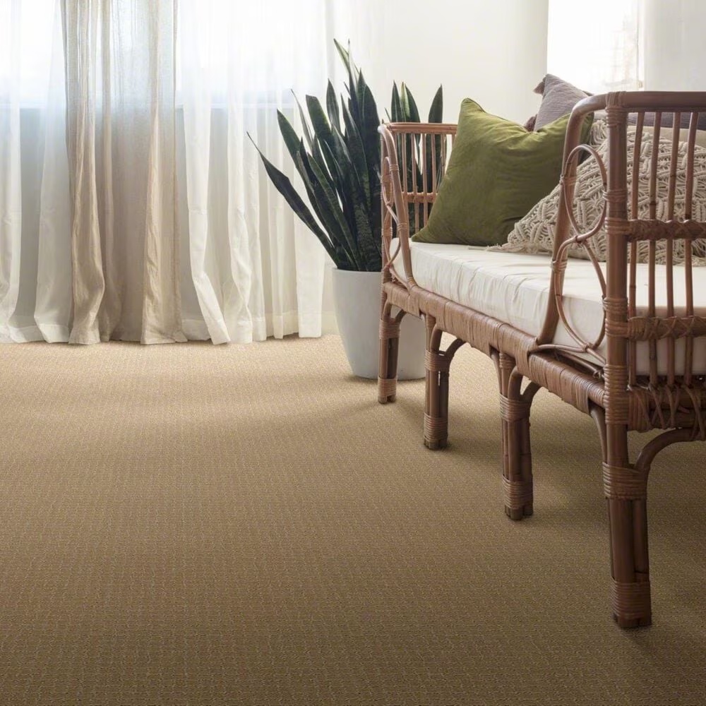 38287-anderson-tuftex-pawstruck-carpet-in-monterey-1.jpg