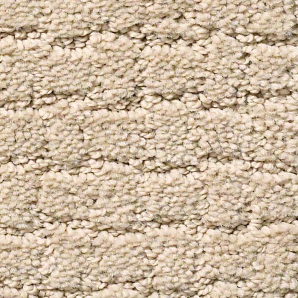 Anderson Tuftex Pawstruck Carpet in Toffee Cream