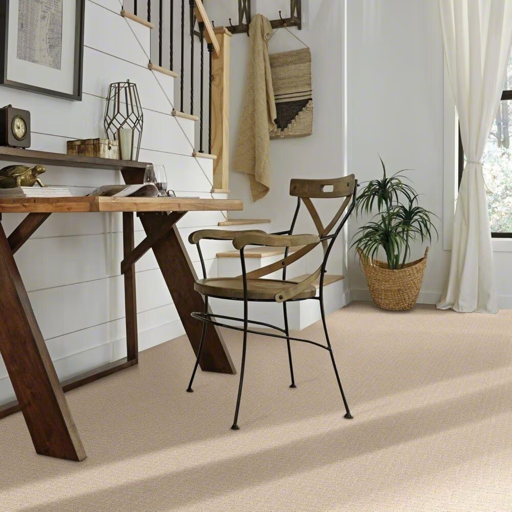 38312-anderson-tuftex-pawstruck-carpet-in-toffee-cream-1.jpg