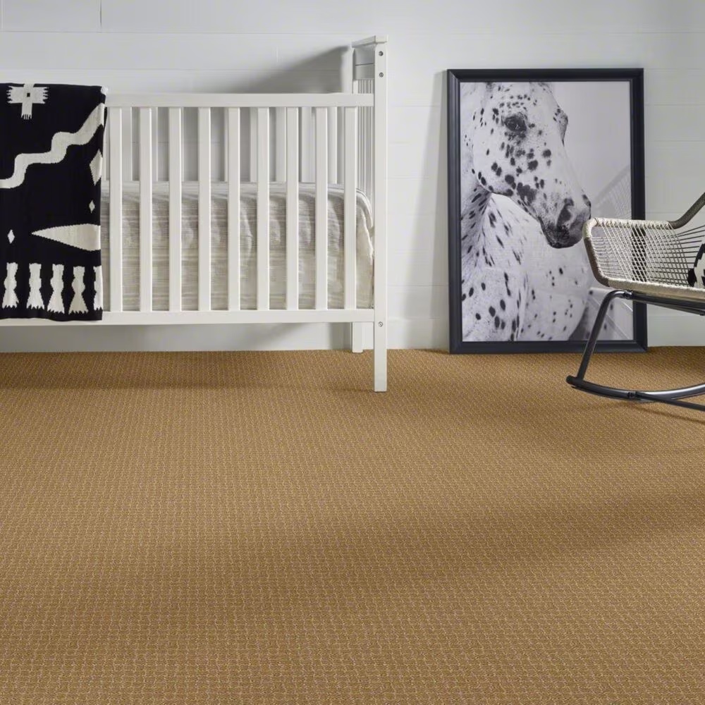 38337-anderson-tuftex-pawstruck-carpet-in-golden-straw-1.jpg