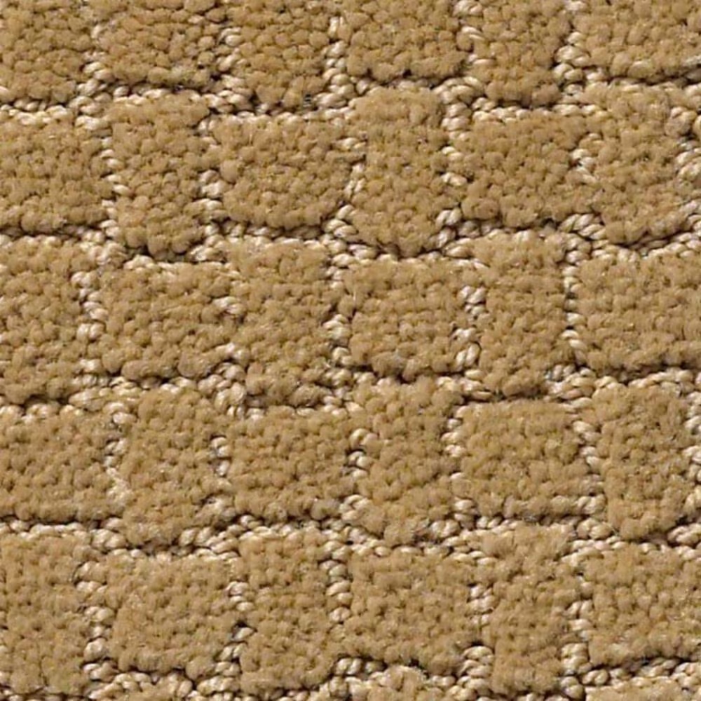 38337-anderson-tuftex-pawstruck-carpet-in-golden-straw-1.jpg