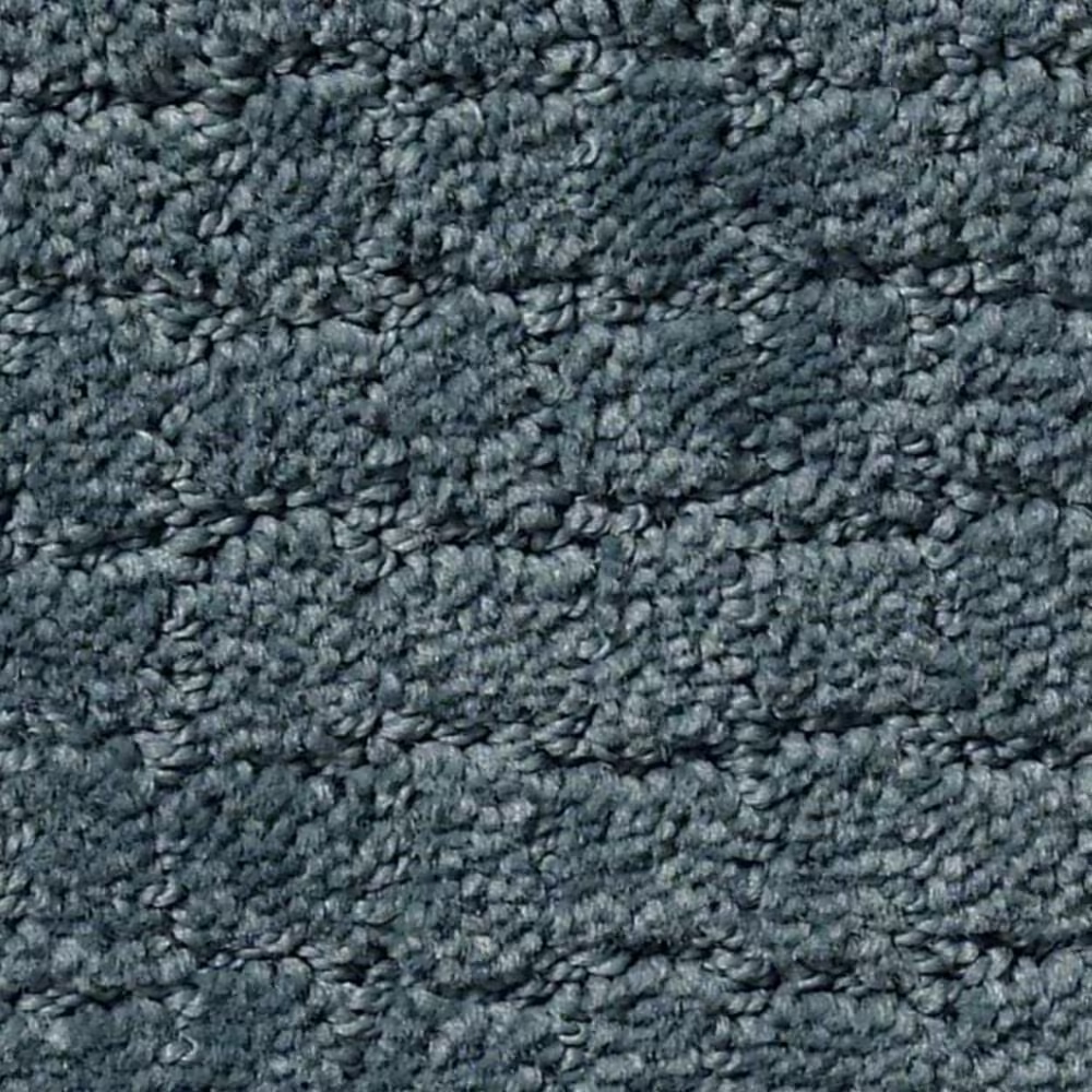 Anderson Tuftex Pawstruck Carpet in Nimbus