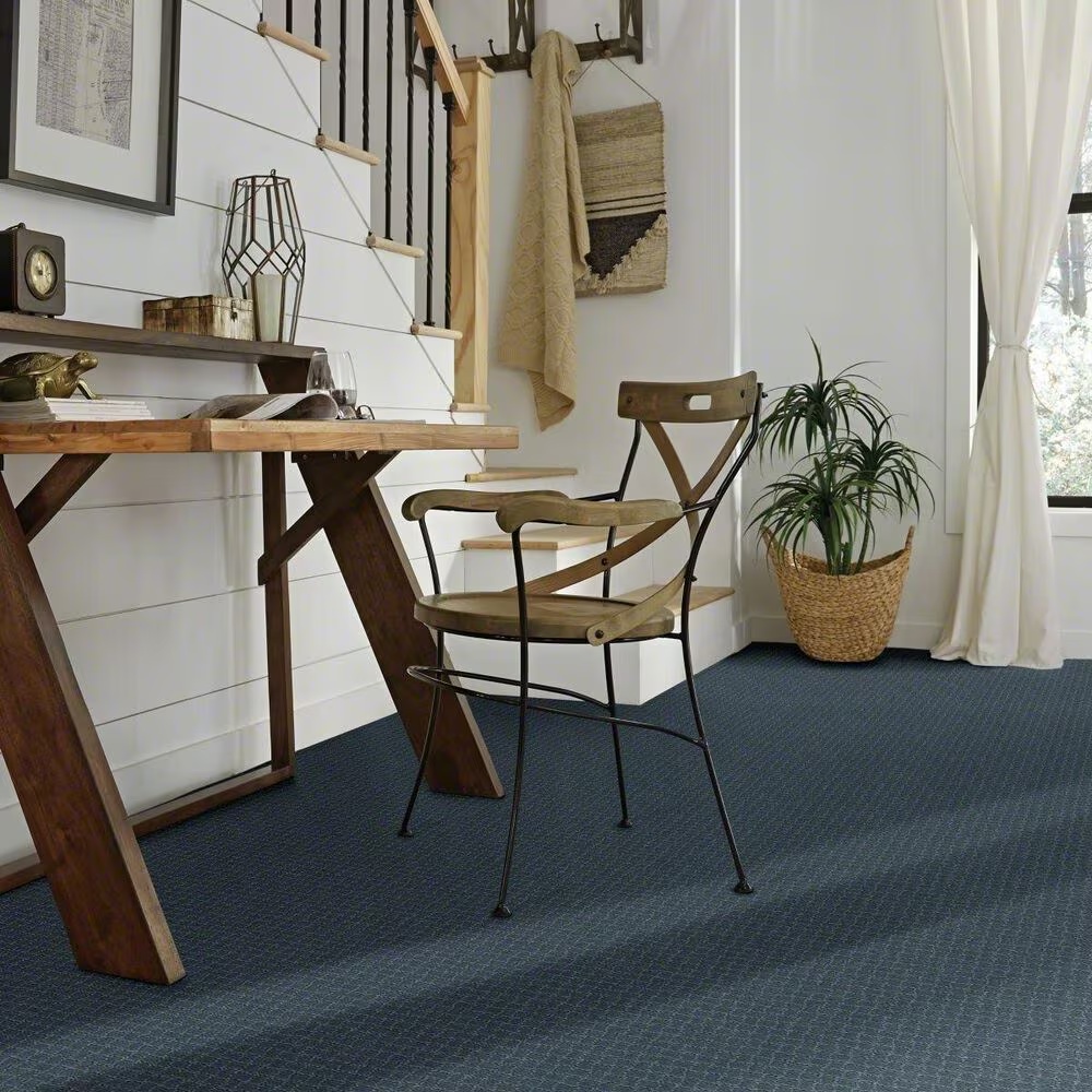 38362-anderson-tuftex-pawstruck-carpet-in-nimbus-1.jpg
