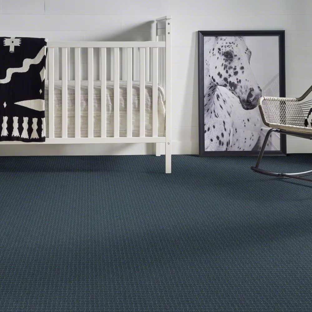 38362-anderson-tuftex-pawstruck-carpet-in-nimbus-1.jpg