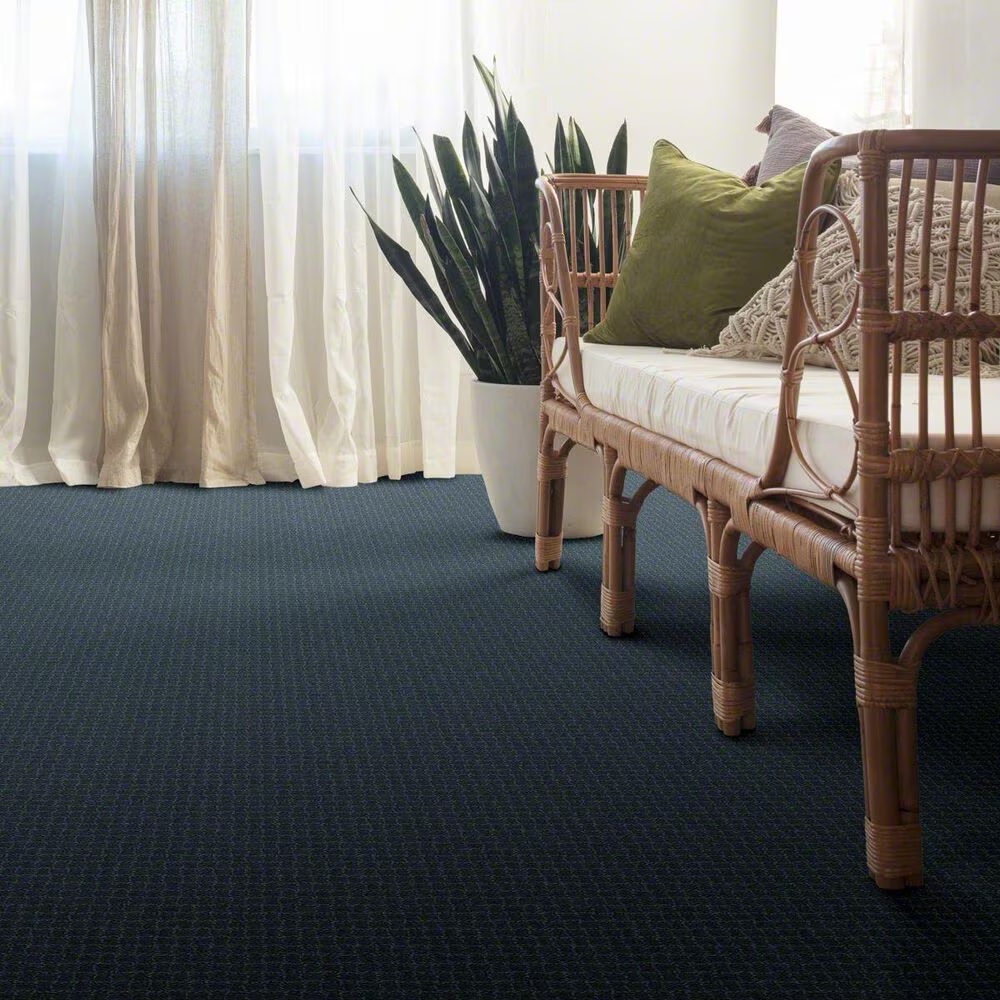 38362-anderson-tuftex-pawstruck-carpet-in-nimbus-1.jpg