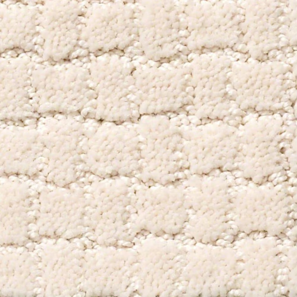 Anderson Tuftex Pawstruck Carpet in Barely Beige